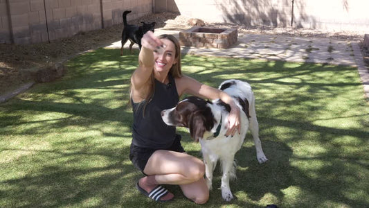 Meet the rescues behind the brand