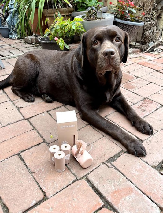 Dog Poop Bag Dispenser – Stylish, Durable & Compatible with All Bags – Convenient Design with One Roll of Bio-Based Bags (15 Bags Included)