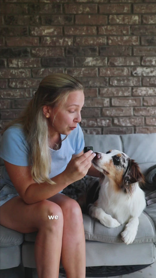 240 Bio-Based Poop Bags