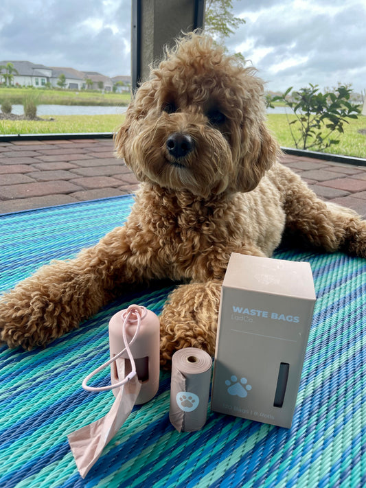 Bio-Based Dog Poop Bags, Silky Soft & Leak-Proof, Lavender-Scented, Made from Cornstarch – 8 Rolls, 120 Bags